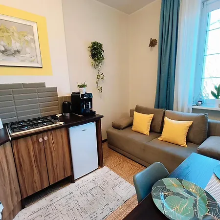 Old Ii With Parking 公寓