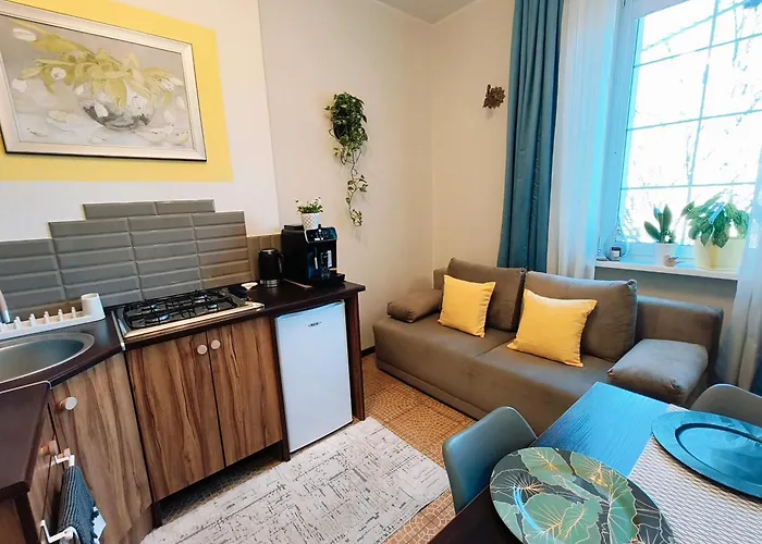 Old Ii With Parking 公寓