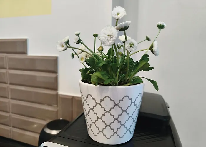 公寓 Old Ii With Parking